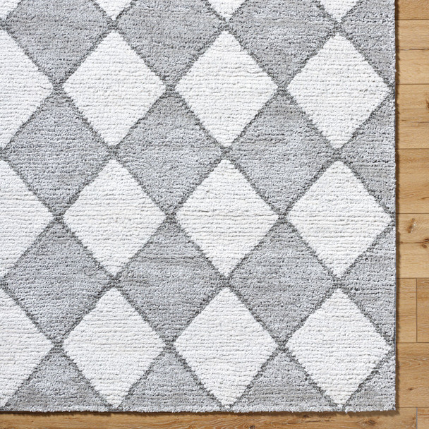 Livabliss Delight Shag DEL-2307 Rug