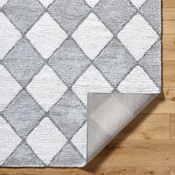 Livabliss Delight Shag DEL-2307 Rug