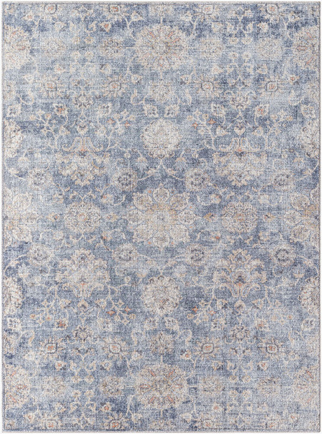Livabliss Downtown DTW-2322 Rug