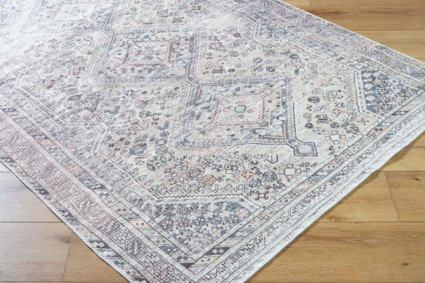 Livabliss Eleni VVEL-2301 Rug