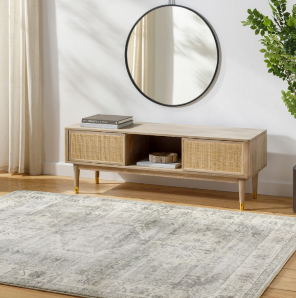 Livabliss Erin ERN-2317 Rug