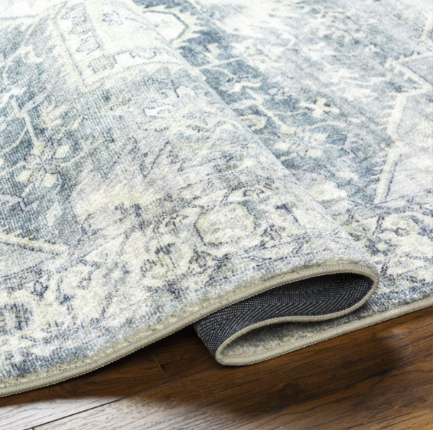 Livabliss Erin ERN-2318 Rug