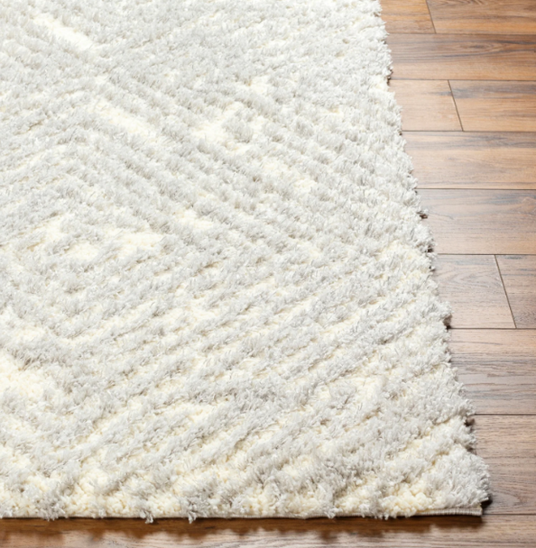 LivaBliss Everton Plus EVP-2312 Rug