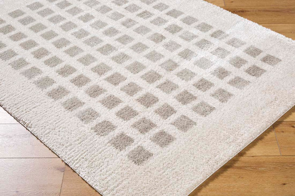 Livabliss Fossay Shag FSG-2322 Rug