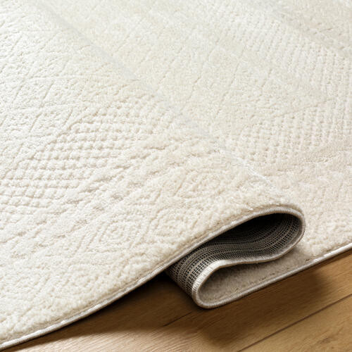 Livabliss Freud FEU-2321 Rug