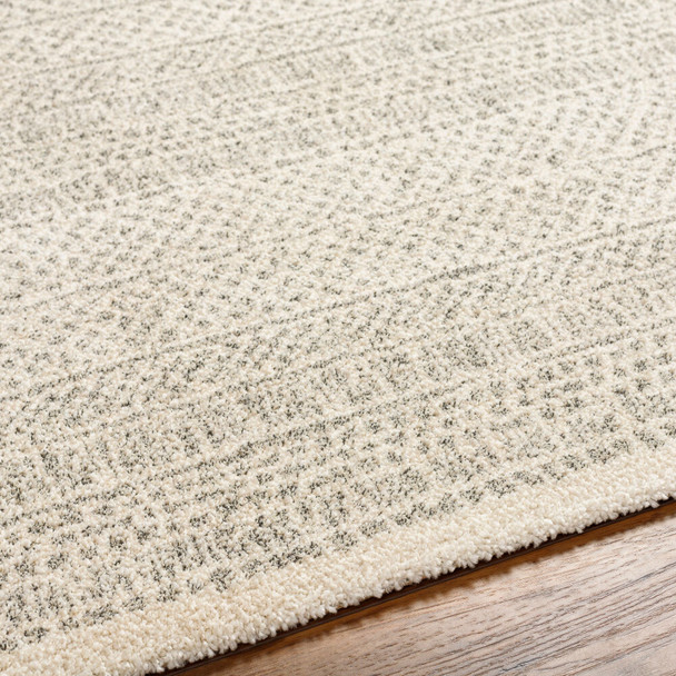 Livabliss Gavic GVC-2312 Rug