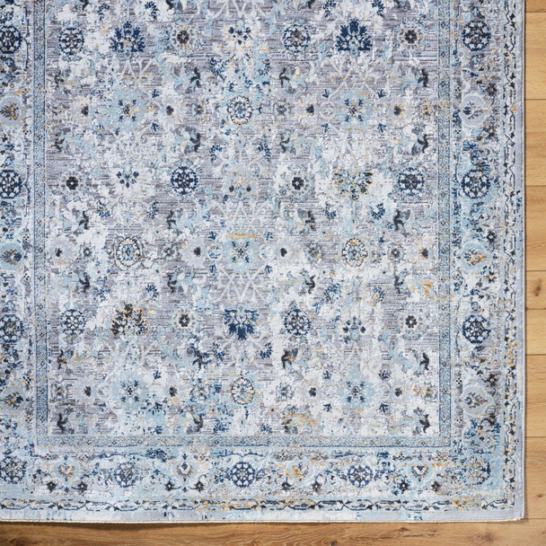 Livabliss Hassler HSL-2302 Rug