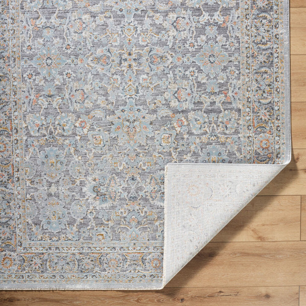 Livabliss Hassler HSL-2304 Rug