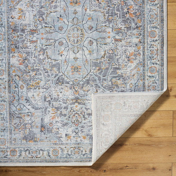 Livabliss Hassler HSL-2306 Rug