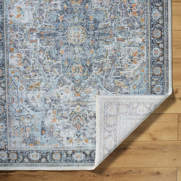 Livabliss Hassler HSL-2307 Rug