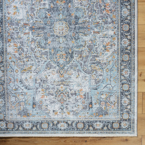 Livabliss Hassler HSL-2307 Rug