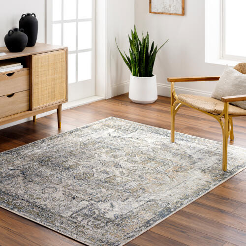 Livabliss Lillian LLL-2301 Rug