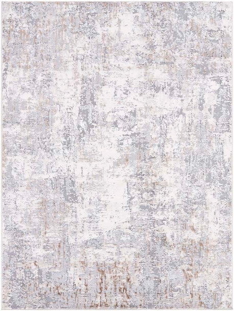 LivaBliss Lustro LSR-2330 Rug