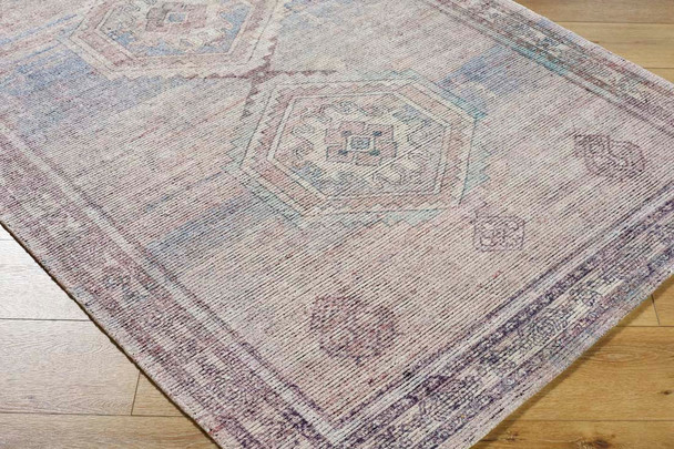Livabliss Luton LTN-2301 Rug