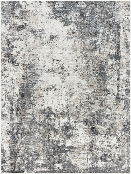 Livabliss Merengue MRG-2305 Rug