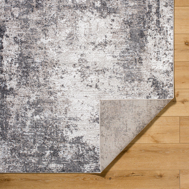 Livabliss Merengue MRG-2305 Rug