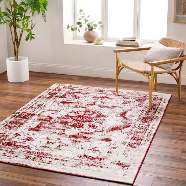 Livabliss Monte Carlo MNC-2352 Rug
