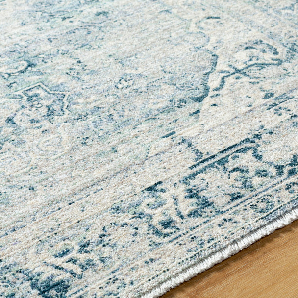Livabliss Montreal MTR-2301 Rug