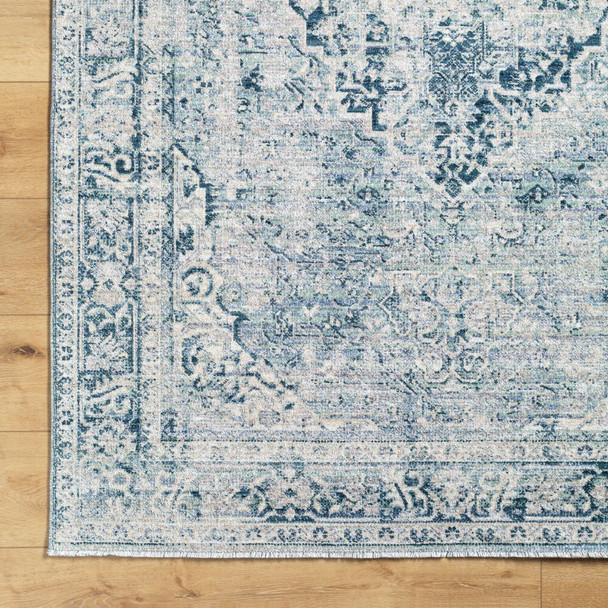 Livabliss Montreal MTR-2301 Rug