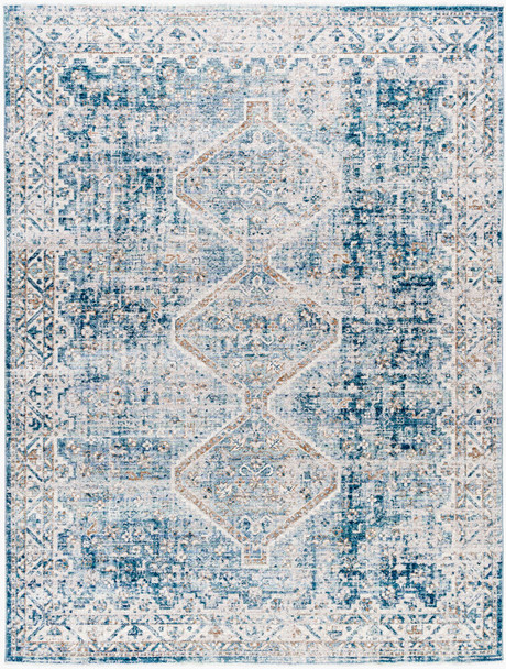 Livabliss Montreal MTR-2303 Rug