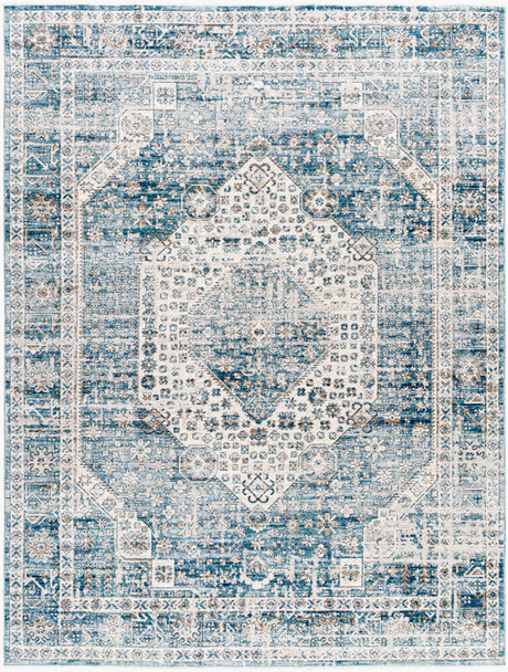 Livabliss Montreal MTR-2307 Rug