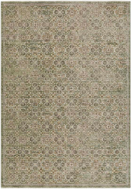 LivaBliss Myrtle Avenue GAMY-2301 Rug