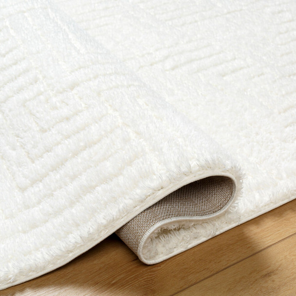 Livabliss Nomadic NMC-2314 Rug