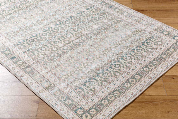 Livabliss Rainier PNWRN-2304 Rug