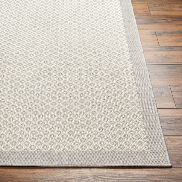 Livabliss Ravello RVL-2388 Rug