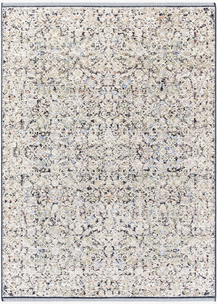 Livabliss Rivaldo RVD-2300 Rug