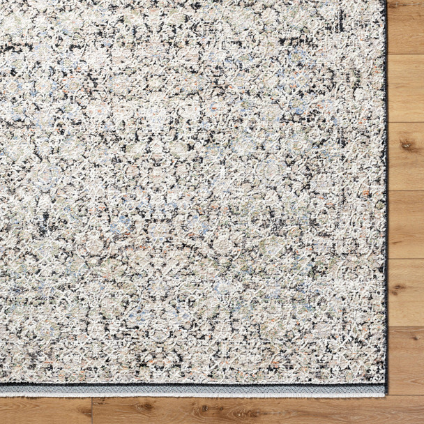 Livabliss Rivaldo RVD-2300 Rug