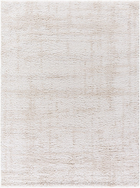 LivaBliss Sacramento Shag SCS-2300 Rug