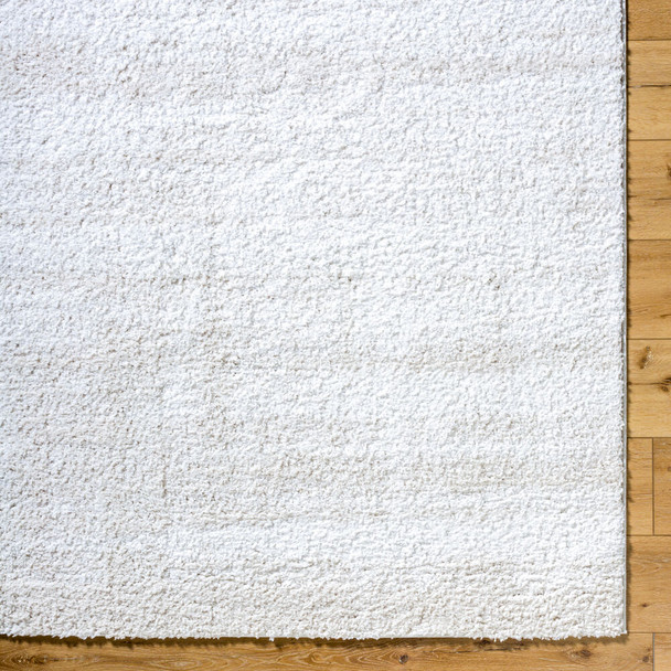 Livabliss Sacramento Shag SCS-2301 Rug