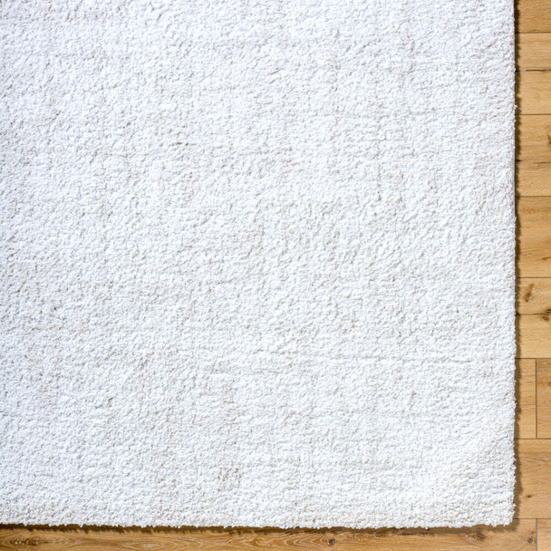 Livabliss Sacramento Shag SCS-2302 Rug