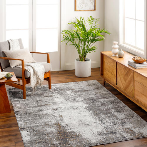 Livabliss San Francisco SFO-2309 Rug