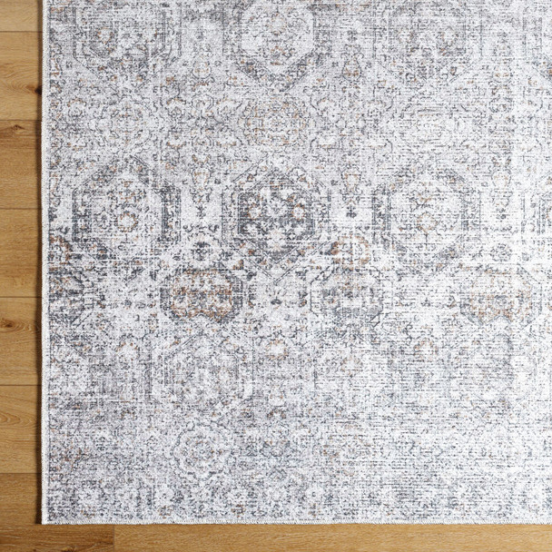 Livabliss Vinny VNY-2309 Rug