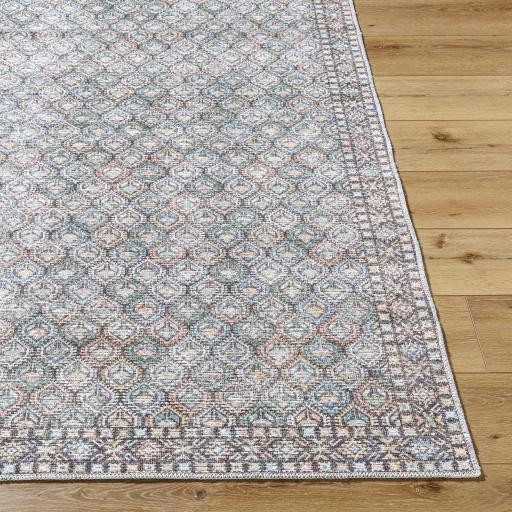 Livabliss Vinny VNY-2320 Rug