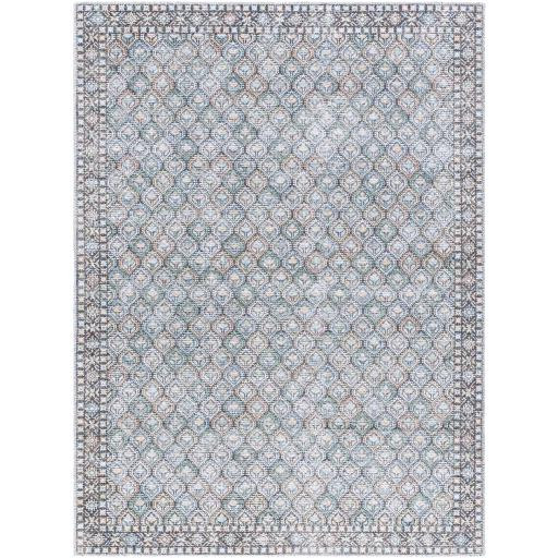 Livabliss Vinny VNY-2320 Rug