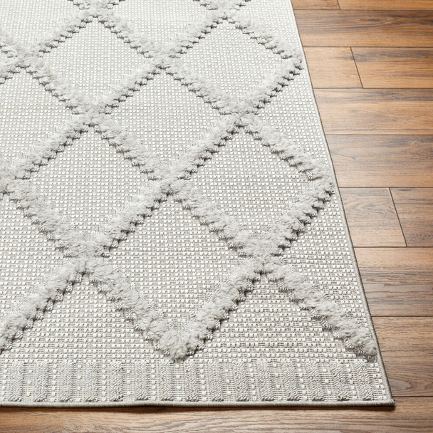 Livabliss West Palm WPM-2306 Rug