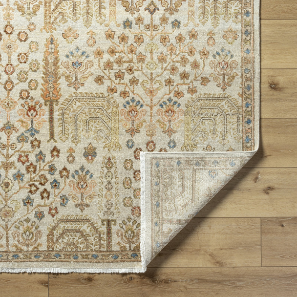 Surya Anelka ANK-2303 Rug