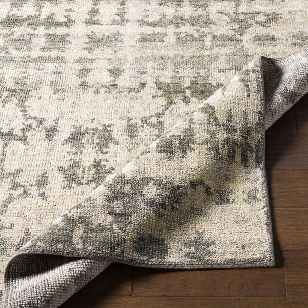 Surya Biscayne BSY-2309 Rug