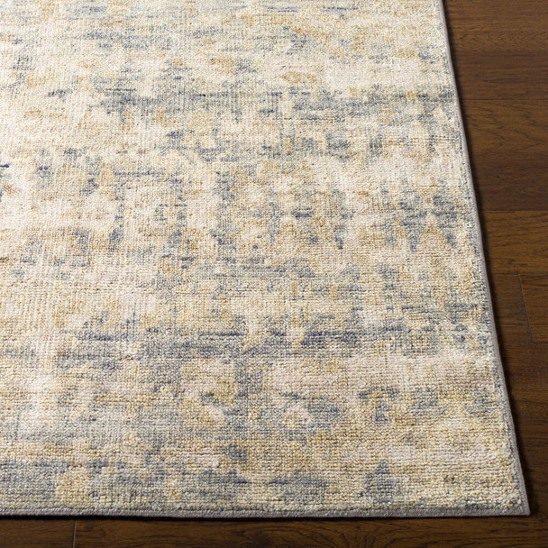 Surya Biscayne BSY-2310 Rug