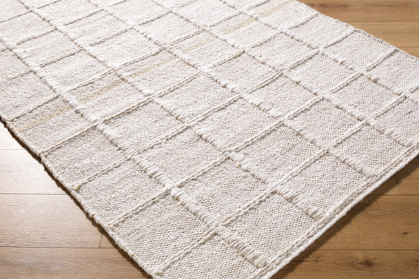 Surya Damon DAM-2300 Rug