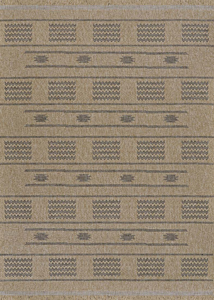 Couristan Naturalistic 3702 1002 Sonoran Natural Charcoal Rug