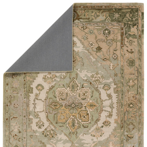 Jaipur Living Citrine CIT21 Raisa Rug
