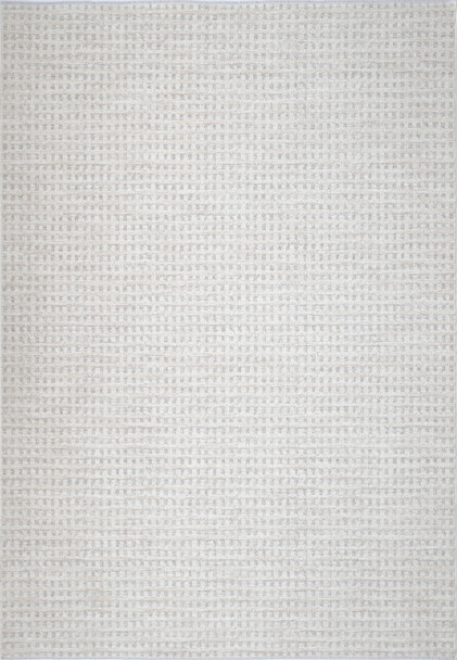 Dynamic Artemis 17543 190 Ivory Grey Rug