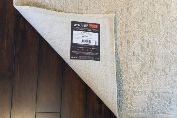 Dynamic Canyon 15473 880 Beige Light Beige Rug