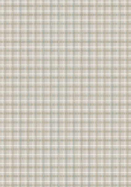 Dynamic Harmony 59005 8575 Beige Grey Rug