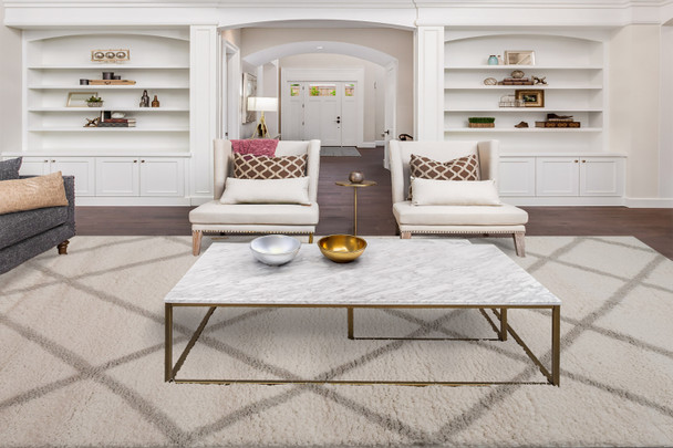 Dynamic Haven 19594 190 Ivory Grey Rug