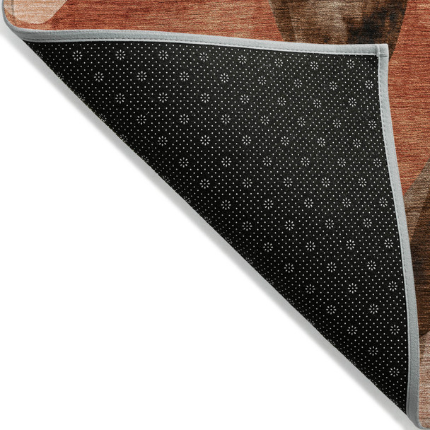 Addison Chantille ACN536 Chocolate Rug